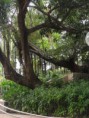 /album/hong-kong-20111/a226650-10150237506099468-752224467-8642324-2670704-n-jpg1/