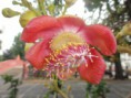 /album/bangkok-20111/a227195-10150234723879468-752224467-8619351-5329516-n-jpg1/