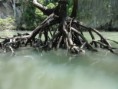 /album/phuket-20111/a227213-10150239271969468-752224467-8662305-4872887-n-jpg1/