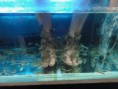 /album/phuket-20111/a230131-10150239262214468-752224467-8662087-8321673-n-jpg1/