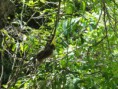 /album/phuket-20111/a230714-10150239272734468-752224467-8662325-1049631-n-jpg1/